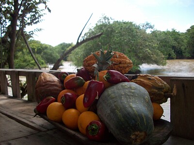 Frutos de mi tierra