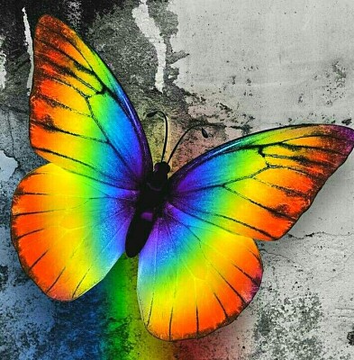 פאזל של mariposa tricolor