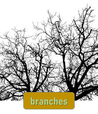 פאזל של branches