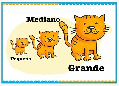 Grande, mediano, pequeÃ±o