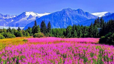 Alaska beauty jigsaw puzzle