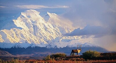 Mt. Denali jigsaw puzzle