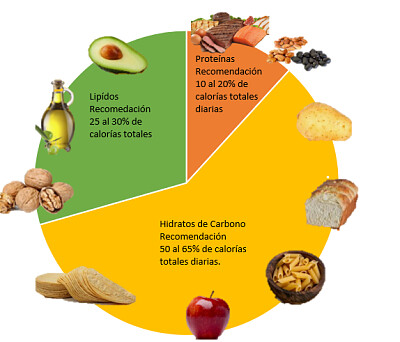 פאזל של RecomendaciÃ³n de Macro nutrimentos