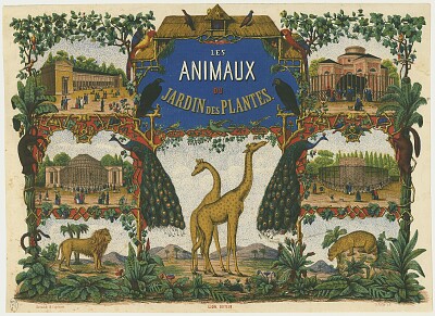 פאזל של Les animaux du Jardin des plantes, couvercle de bo