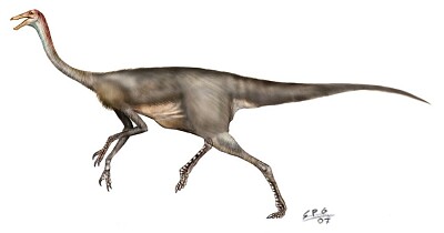 Gallimimus