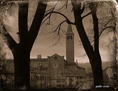 verona vintage