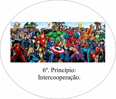 PRINCIPIO 6