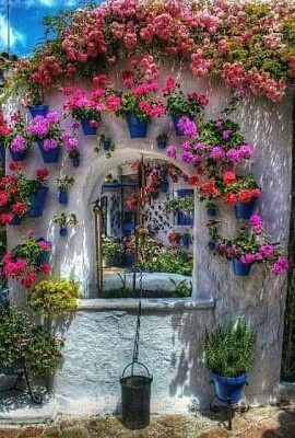 ventana
