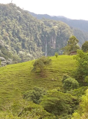 Cascada Don Miguel