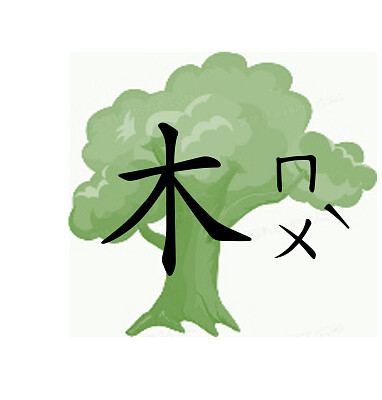 ç”Ÿå­—