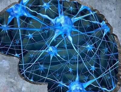 sinapsis jigsaw puzzle