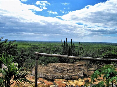 Paisaje sureÃ±o, YucatÃ¡n. jigsaw puzzle