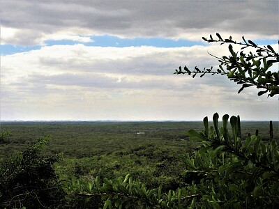 פאזל של Paisaje yucateco.