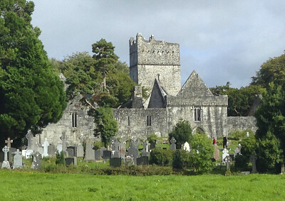 Muckross Abbey - Ireland