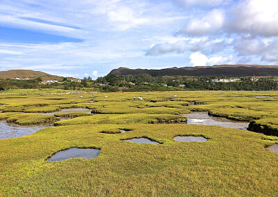 Mulranny Fields jigsaw puzzle