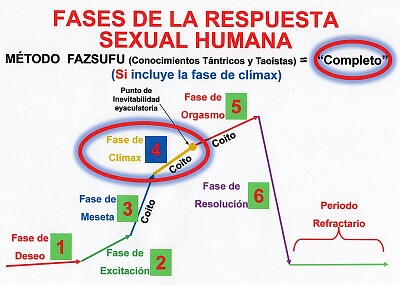 psicologÃ­a sexual 5to