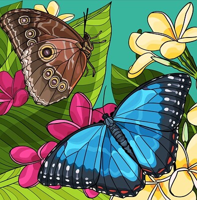 MARIPOSA