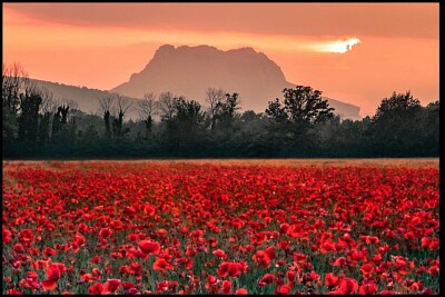 Rocher Roquebrune le soir