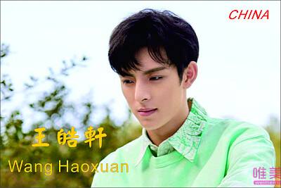 Chinese actor Wang Haoxuan jigsaw puzzle