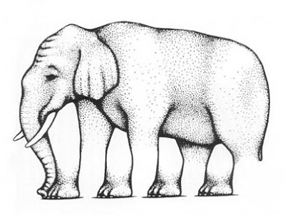 פאזל של Shephard Elephant illusion