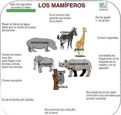 Rompecabezas de animales