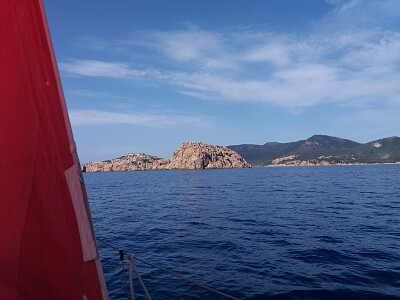 Vela