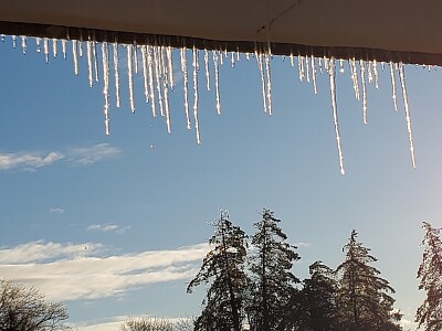 icicles