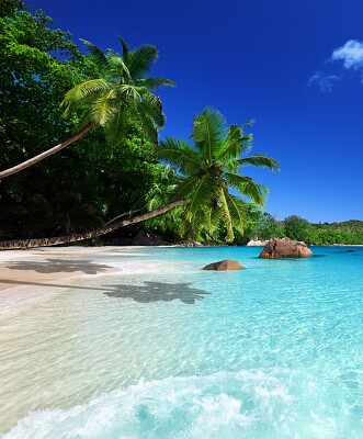 Playa de Seychelles