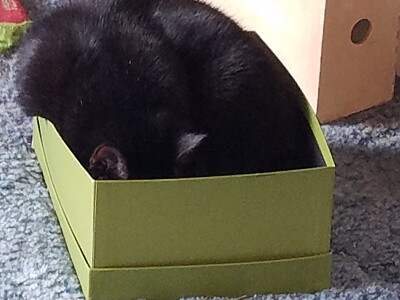 lucie green box