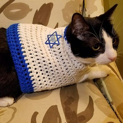 פאזל של chanukah cat