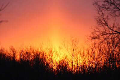 Sunrise...settin the woods on fire!