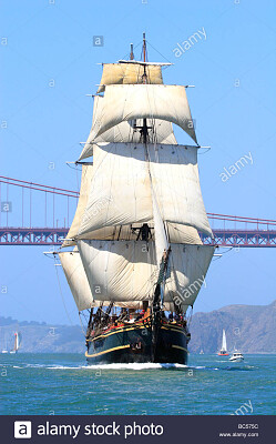 פאזל של The Tall Ship,Bounty