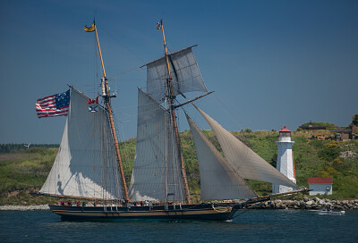 Pride of Baltimore II Halifax Harbour