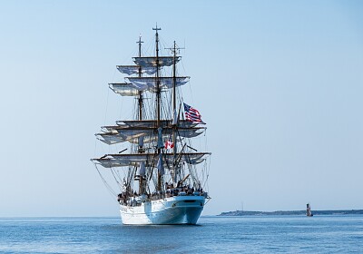 Eagle - Halifax, Nova Scotia