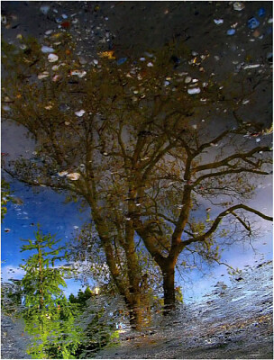 Reflet