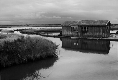 Cabane de marais