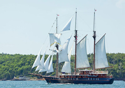 פאזל של Tall Ships , Halifax 02