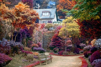 Colour garden