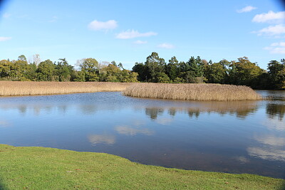 Island of Reed, Lake Beaulieu, U.K. jigsaw puzzle