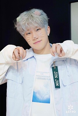 Jin Jin
