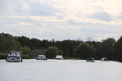 Busy Waterway, Norfolk Broads, U.K.