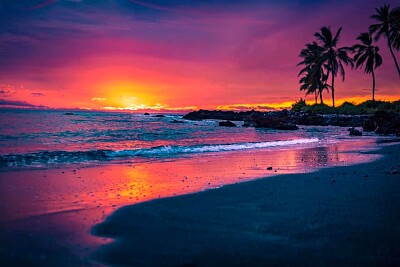 Tropical Sunset jigsaw puzzle