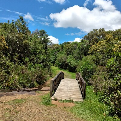 A ponte de Madeira