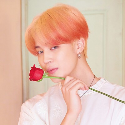 JIMIN - BTS