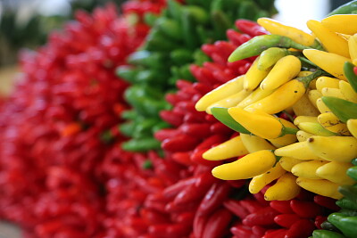 An Explosion of Chillis