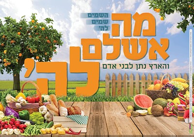 פאזל של ×”×¨×›×™×‘×• ××ª ×”×¤××–×œ