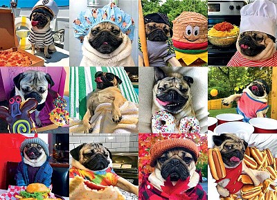 pugs