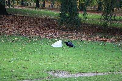 פאזל של Hyde Park, London, UK