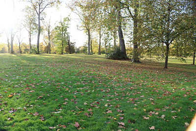 Hyde Park, London, UK