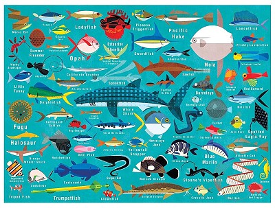 fish jigsaw puzzle